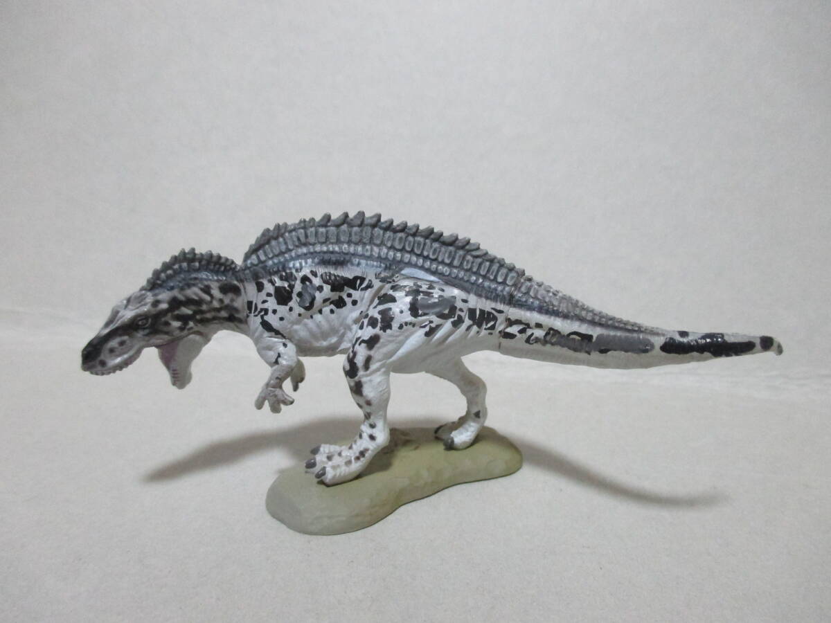 新品】超アクト 恐竜キング アクロカントサウルス 敵専用カード 人気