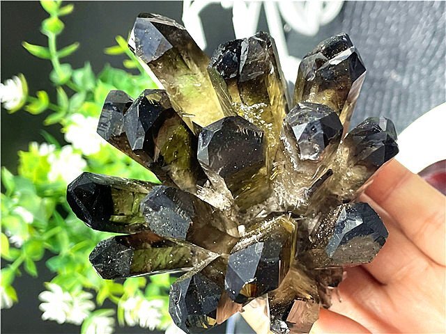 未使用】☆超綺麗高透明度水晶クラスター189C6-89C14の落札情報詳細