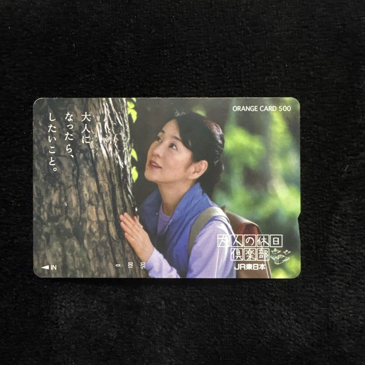 中古】吉永小百合 大人の休日倶楽部 JR東日本 非売品 B0 大判 ポスター