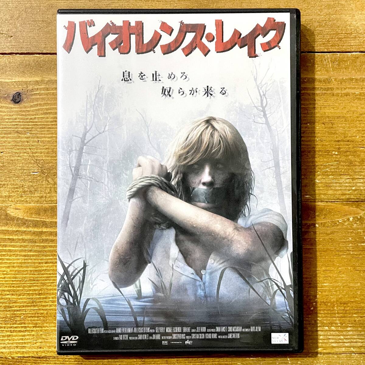 即決DVD廃盤☆バイオレンス・レイク 少年少女達の未成年醜悪残酷犯罪