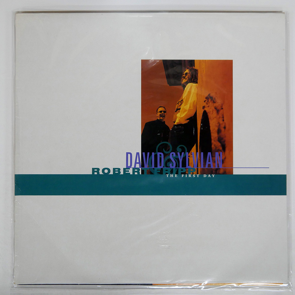 中古】洋書□デヴィッド・シルヴィアン 写真集 ジャパン/JAPAN□David