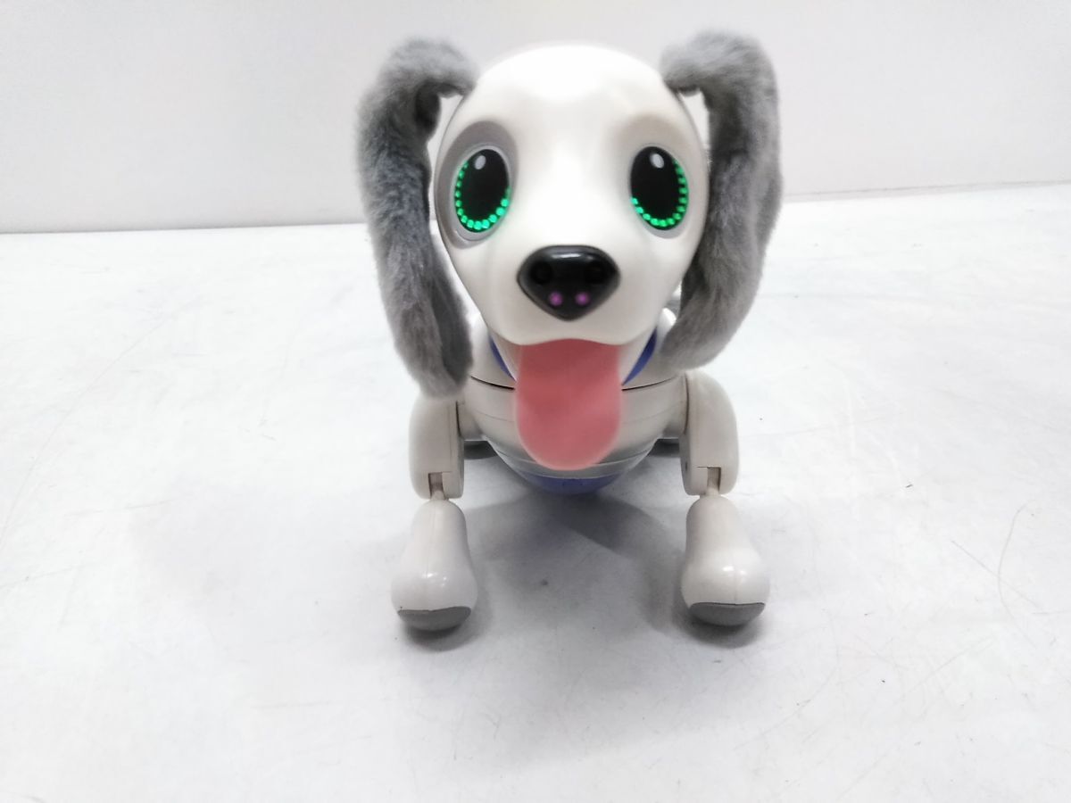 私の愛する犬たち [型紙なし] 人気の小型犬7種のぬいぐるみ作品集