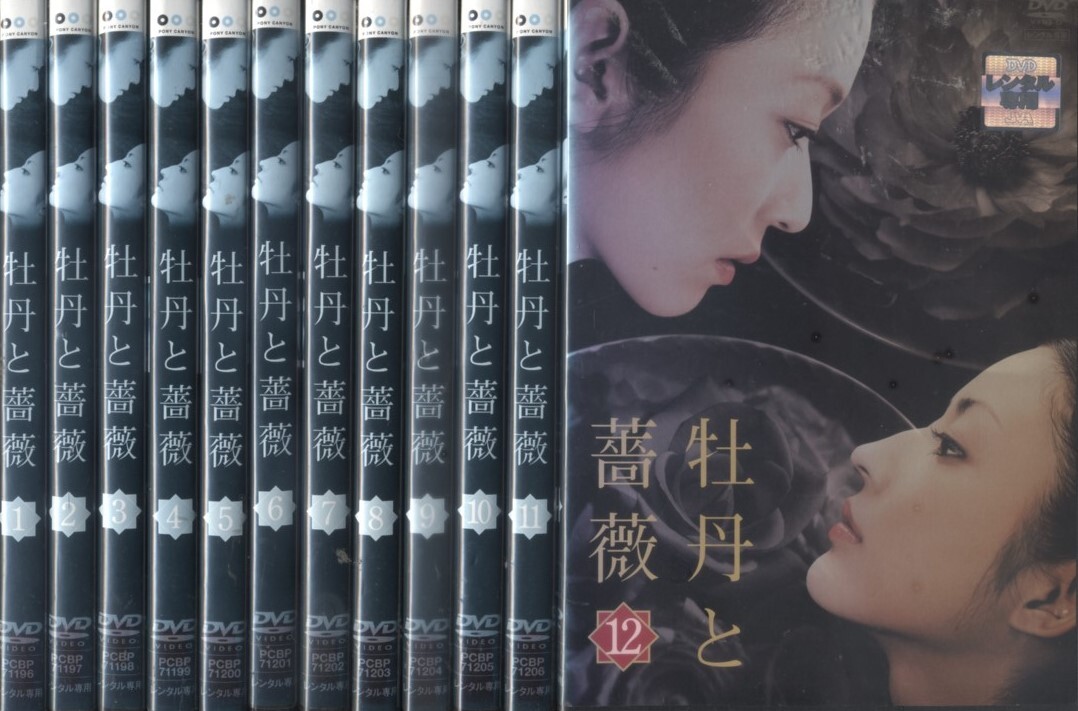 牡丹と薔薇※VHS※1話〜60話(最終話)全12巻　希少　美品 中古】【VHS】牡丹と薔薇 全12巻 大河内奈々子/小沢真珠/北原佐和子