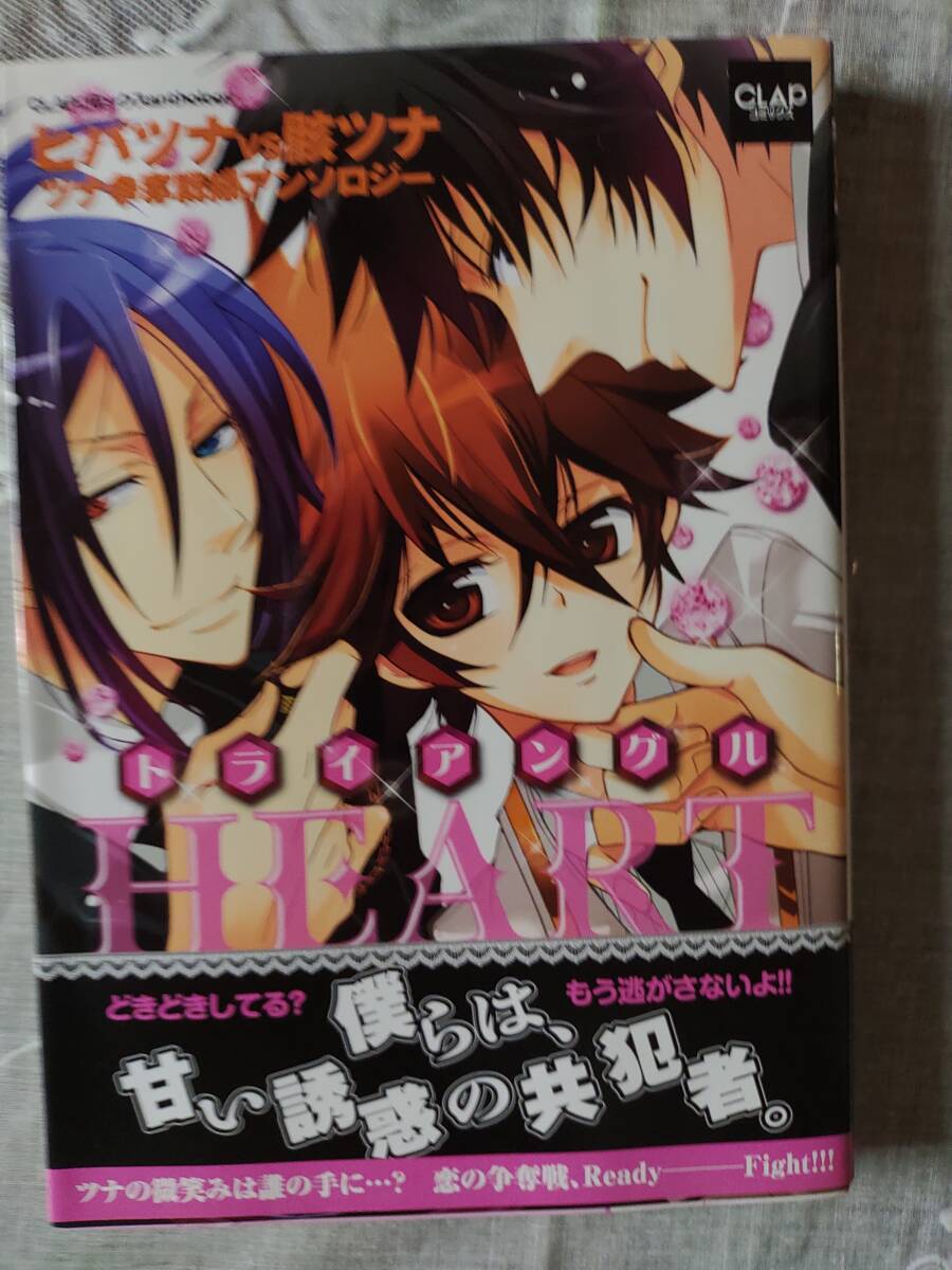 リボーン+カレシ 家庭教師ヒットマンREBORN! カレシシリーズ 彼氏