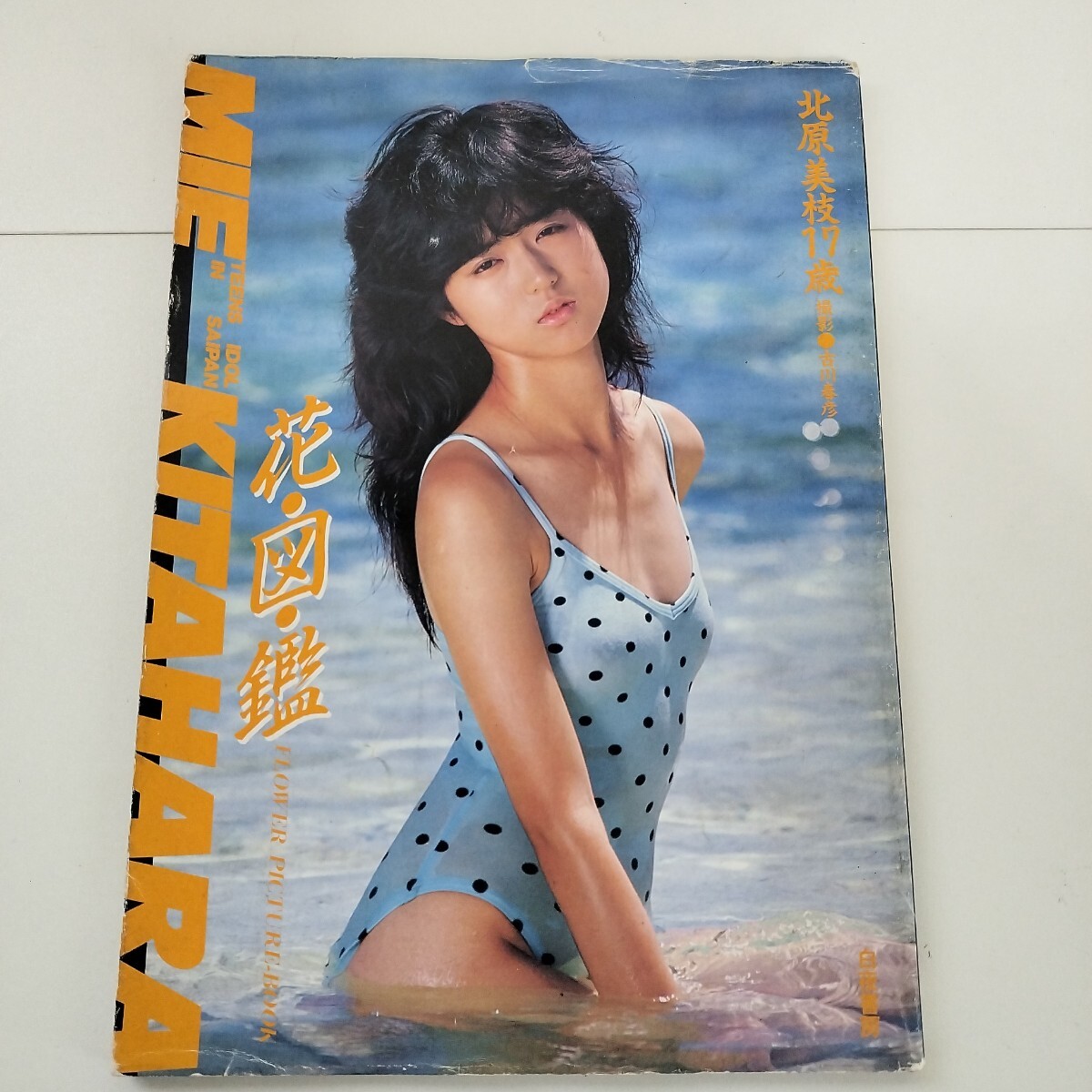 目立った傷や汚れなし】中村由貴 写真集 『少女倶楽部』 オトメクラブ 