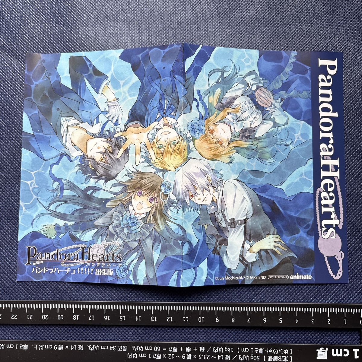 m-KP-E644○パンドラハーツ アリス 望月淳 イラストシートの落札情報