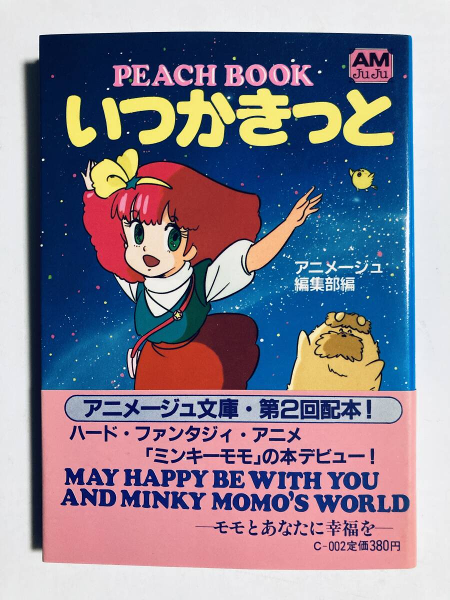 魔法のプリンセス ミンキーモモ 原画 わたなべひろしの落札情報詳細