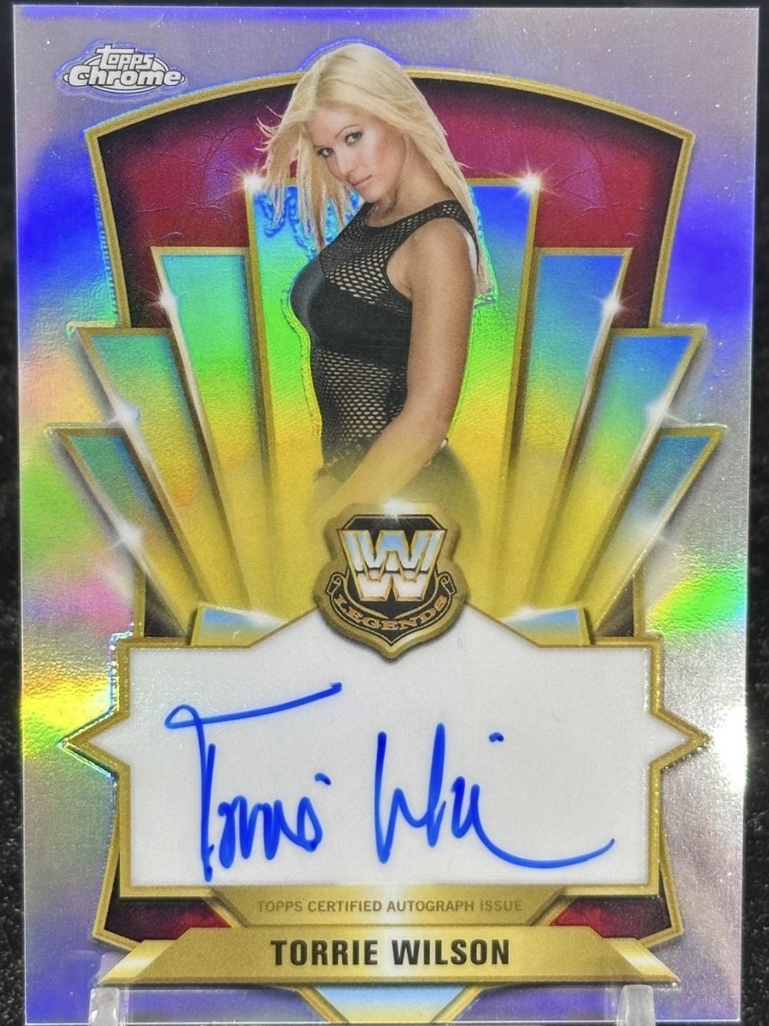 DVDケース『Torrie Wilson用』DIVA WCW WWE Sable Trish Stacy トリー