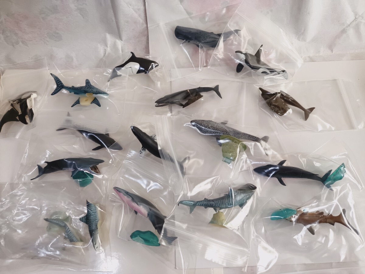 中古】【最終値下げ】ネイチャーテクニカラー 海遊館ミュージアム