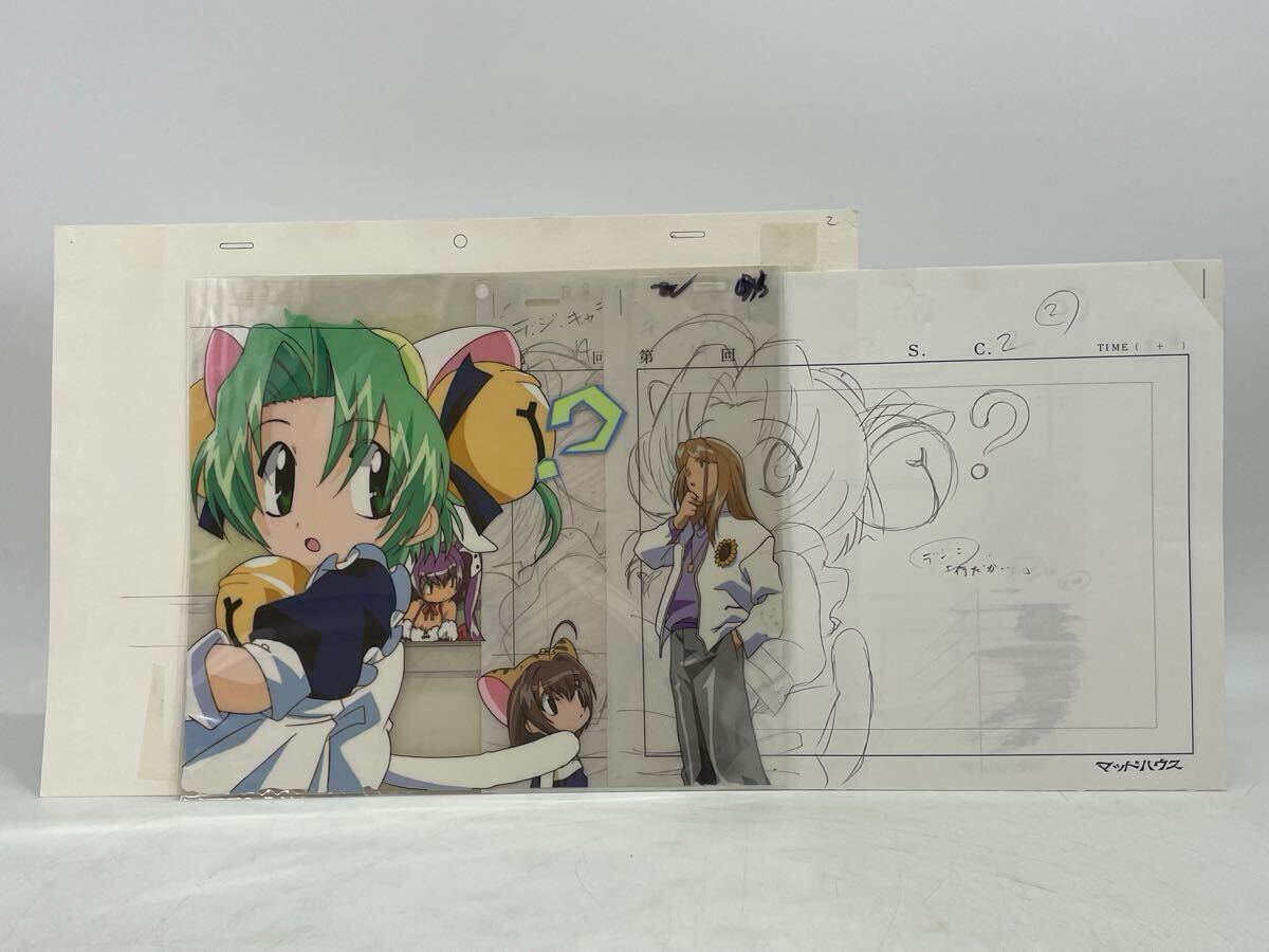 デ・ジ・キャラット　でじこ　ぷちこ　こげどんぼ　プチキャラット　カード デ・ジ・キャラット でじこ ぷちこ こげどんぼ プチキャラット カード