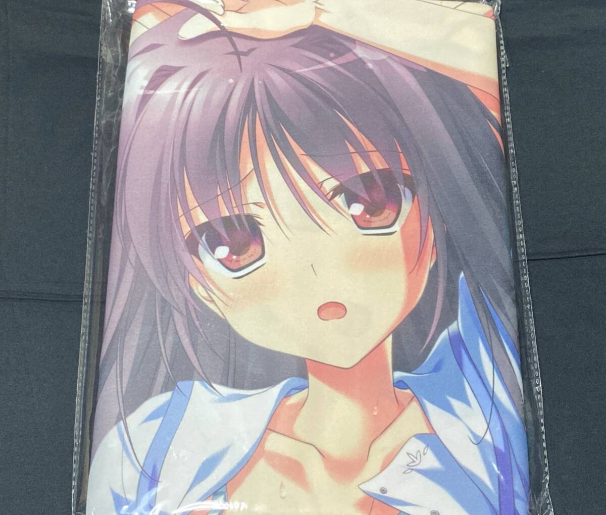 中古 正規品 楠瀬心 抱き枕カバー すたいらす 庄名泉石 楠瀬まなかの 