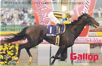 新品】ウオッカ 日本ダービー ヴィクトリアマイル 記念入場券 2枚