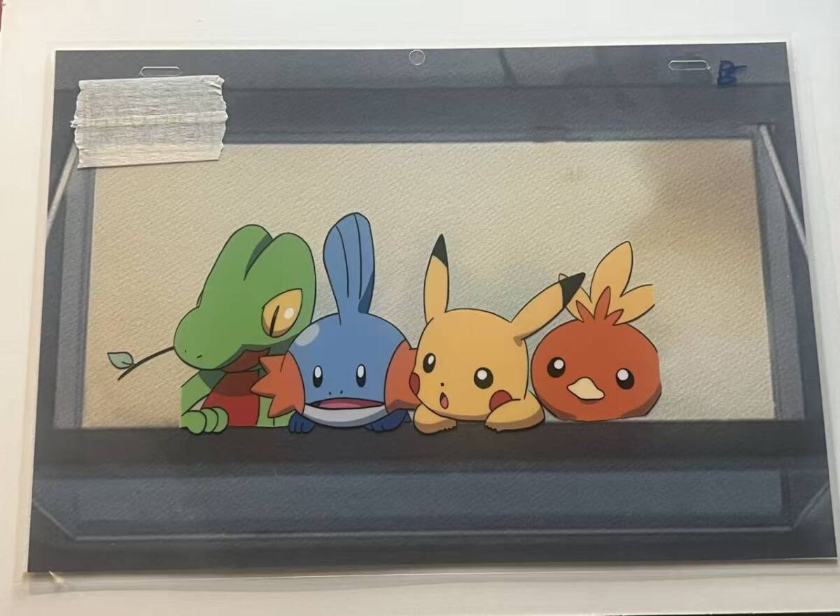 新品】ふっくらシール☆pokemon time キモリ・アチャモ・ミズゴロウ