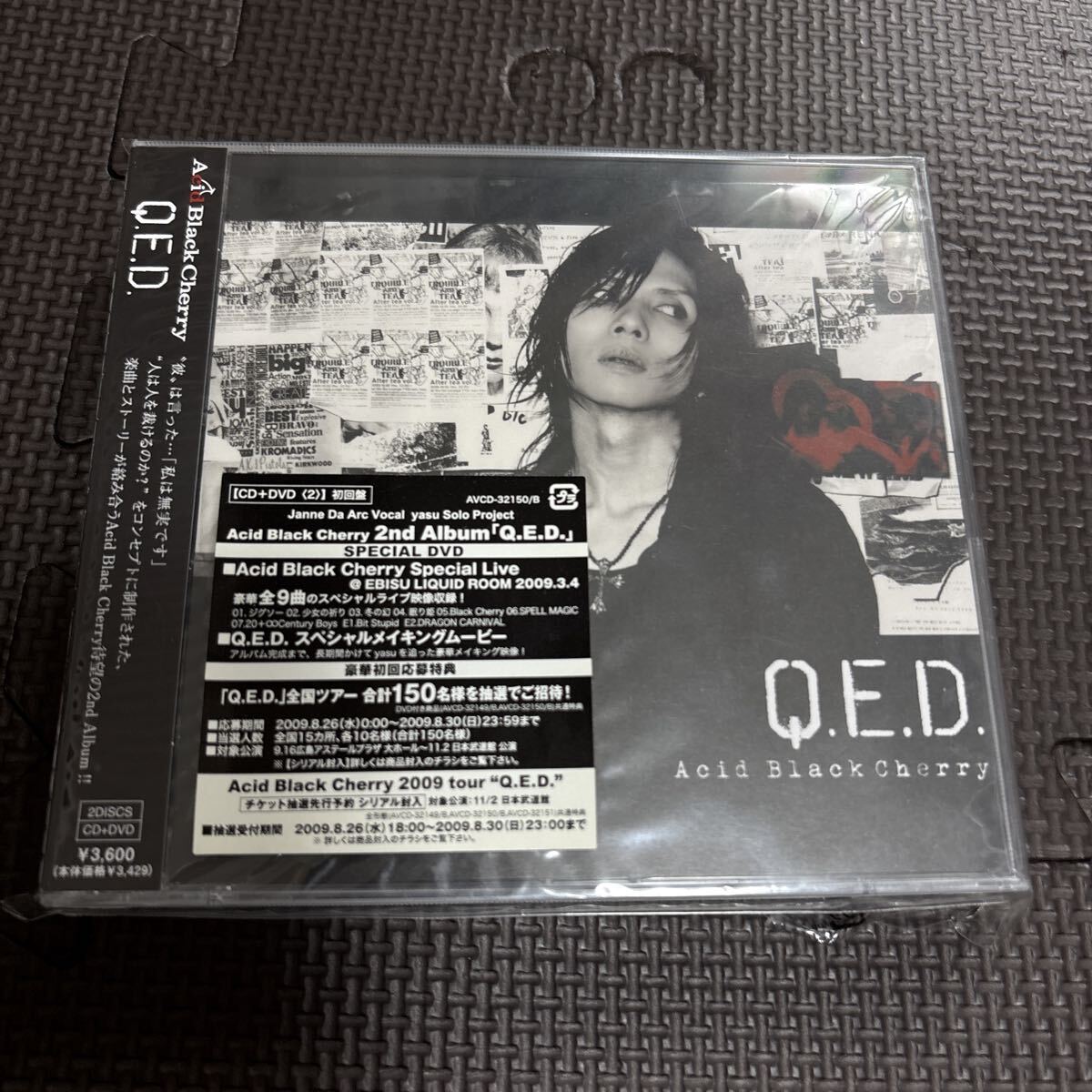Janne Da Arc パンフレット 写真集 21冊 まとめ売り Janne Da Arc