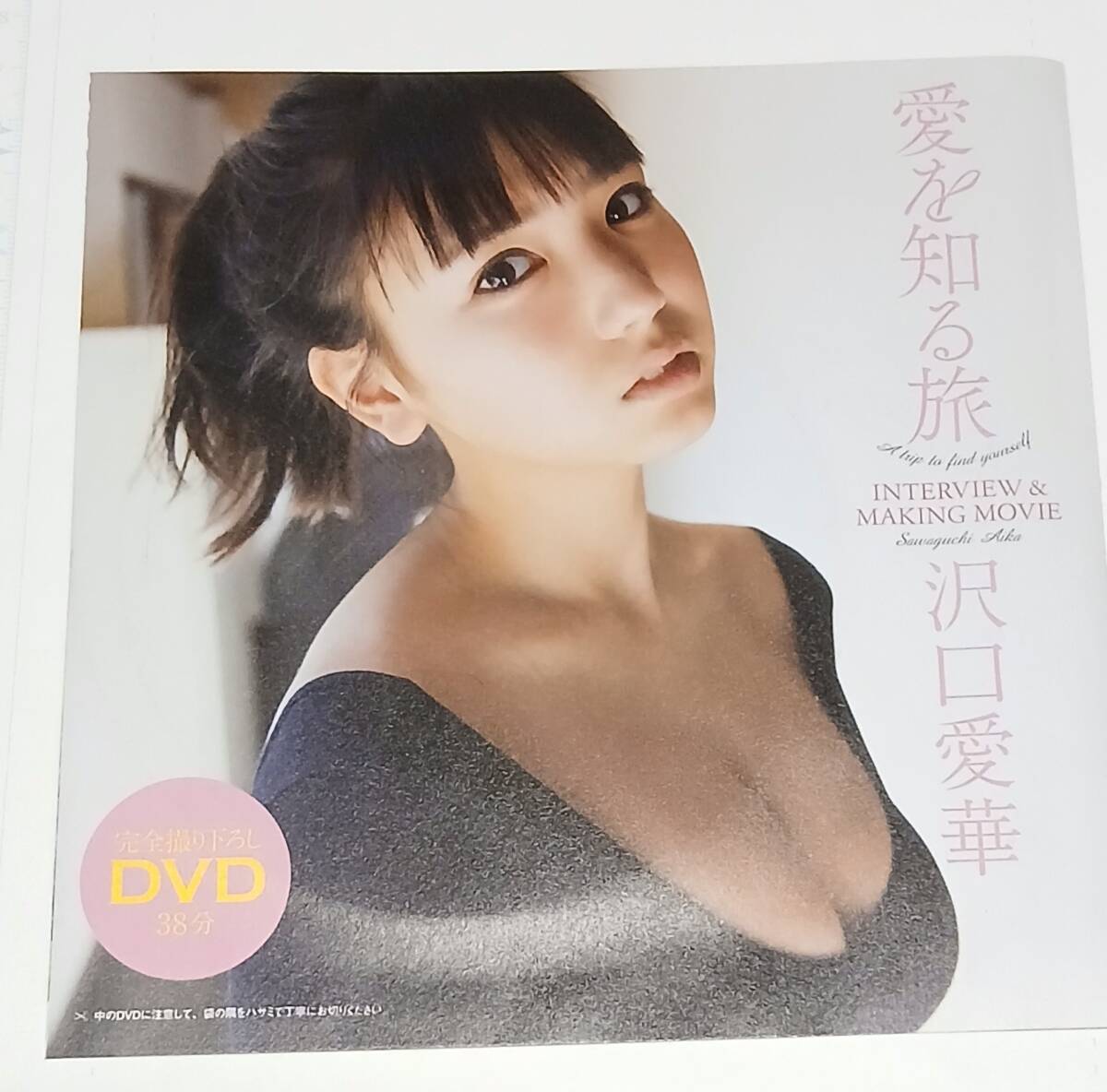 新品】【雑誌付録】週刊プレイボーイ 付録DVD 未開封 浅田舞 初
