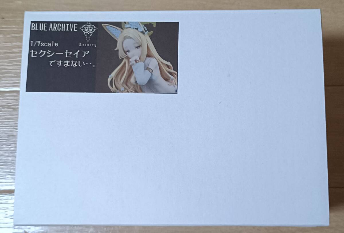 目立った傷や汚れなし】【 完成品 】 セクシーセイアですまない