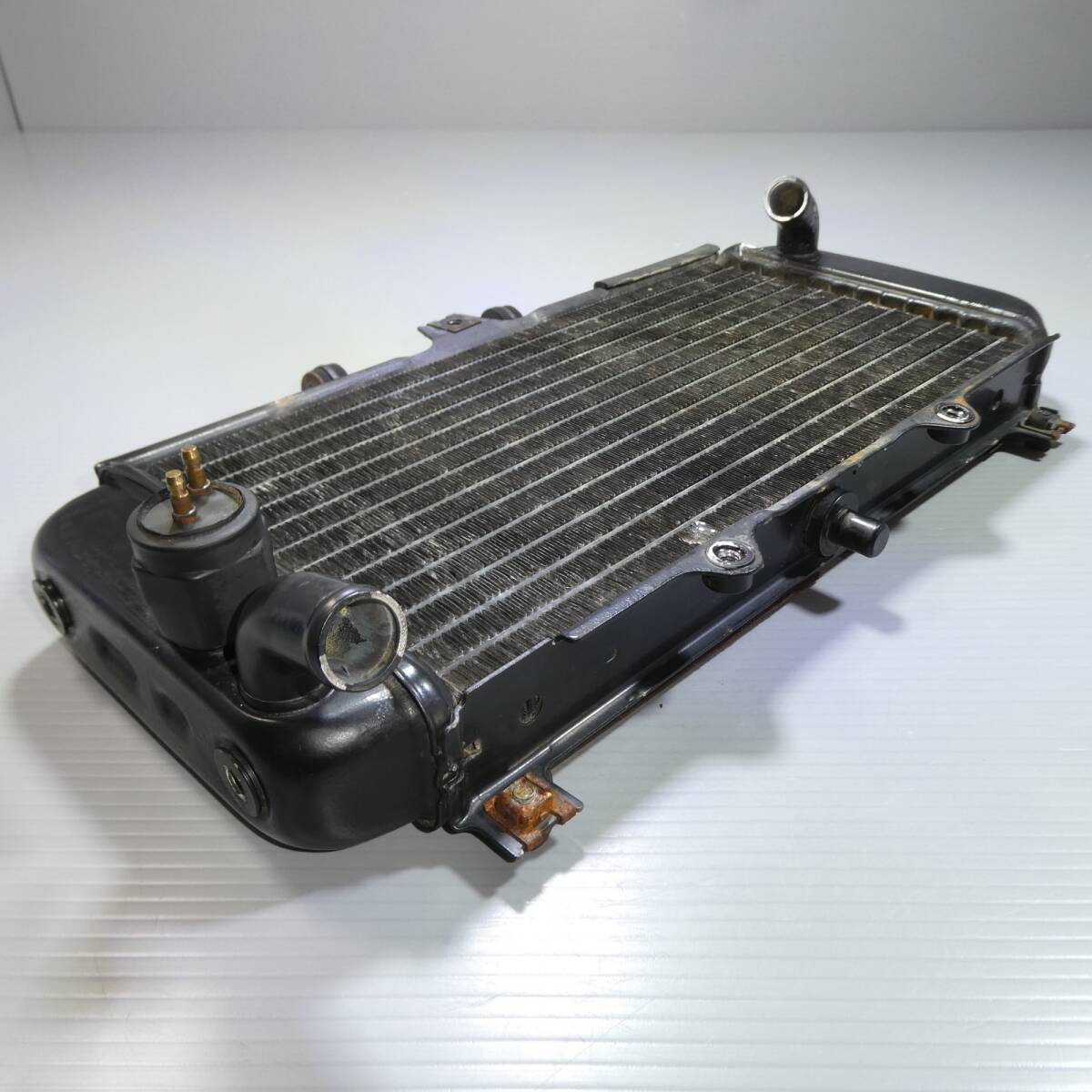 ZRX1100 1200 ラジエター コアガード O-BIG ラジエーター カバー