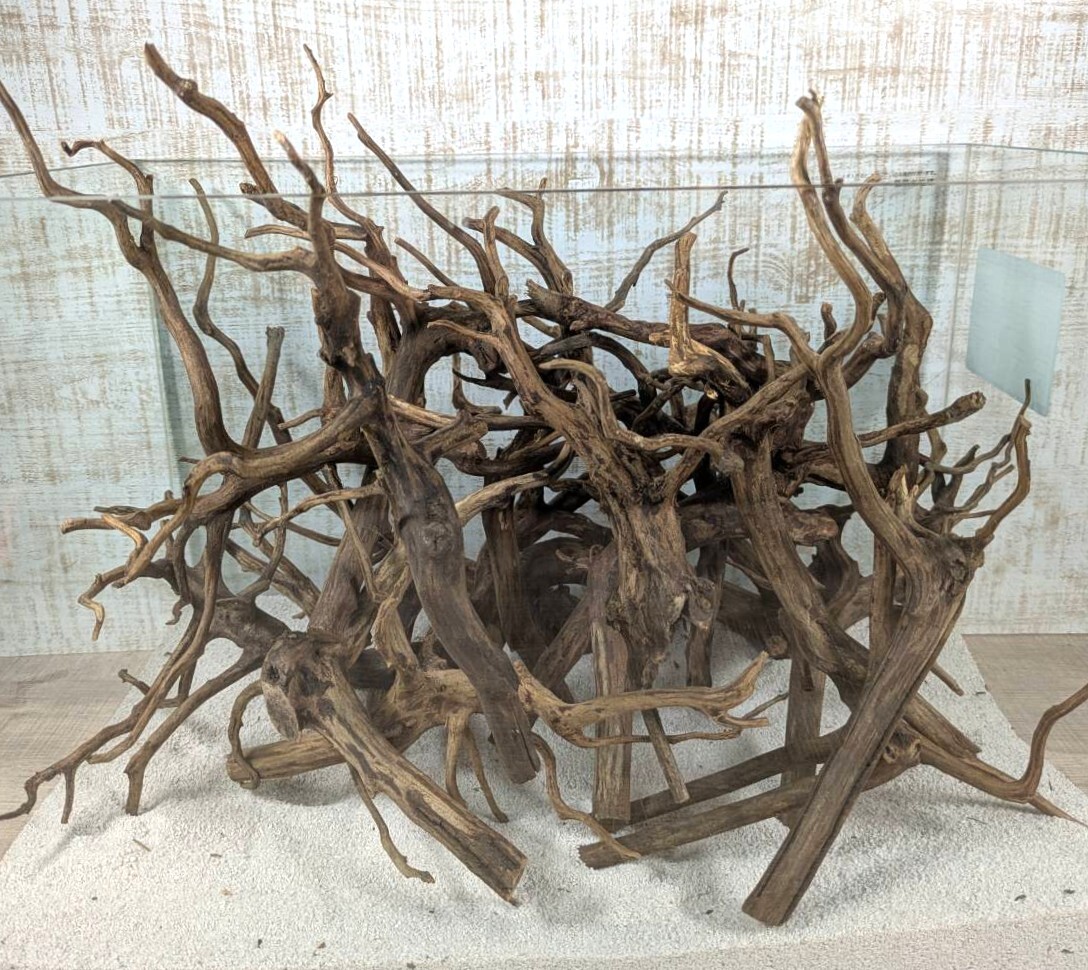 新品】アクアリウム 盆栽流木 プレミアムモス活着の落札情報詳細