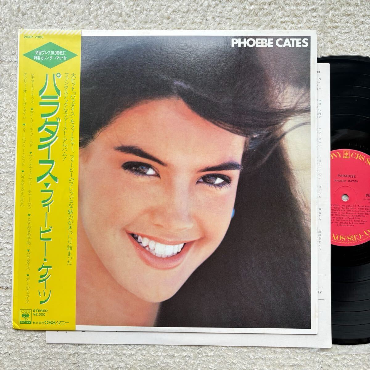 新品】☆SALE☆ フィービー・ケイツ 直筆サインフォト/写真 Phoebe