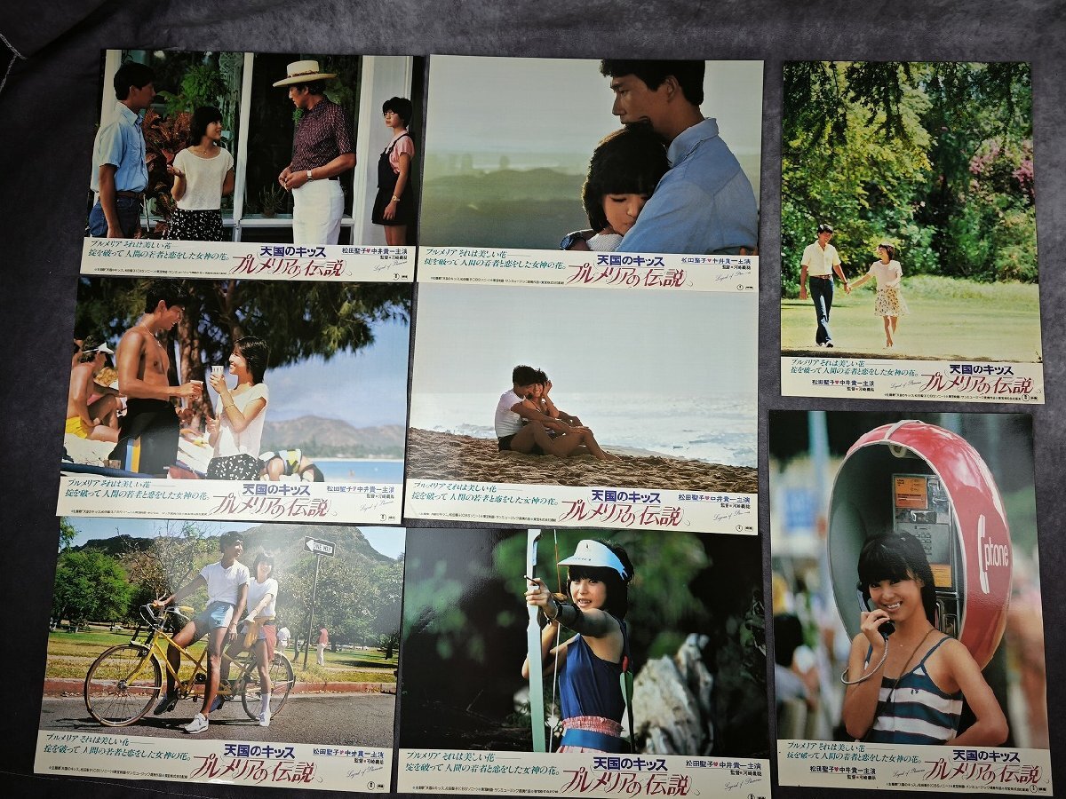 松田聖子/中井貴一【プルメリアの伝説・天国のキッス】スチール写真