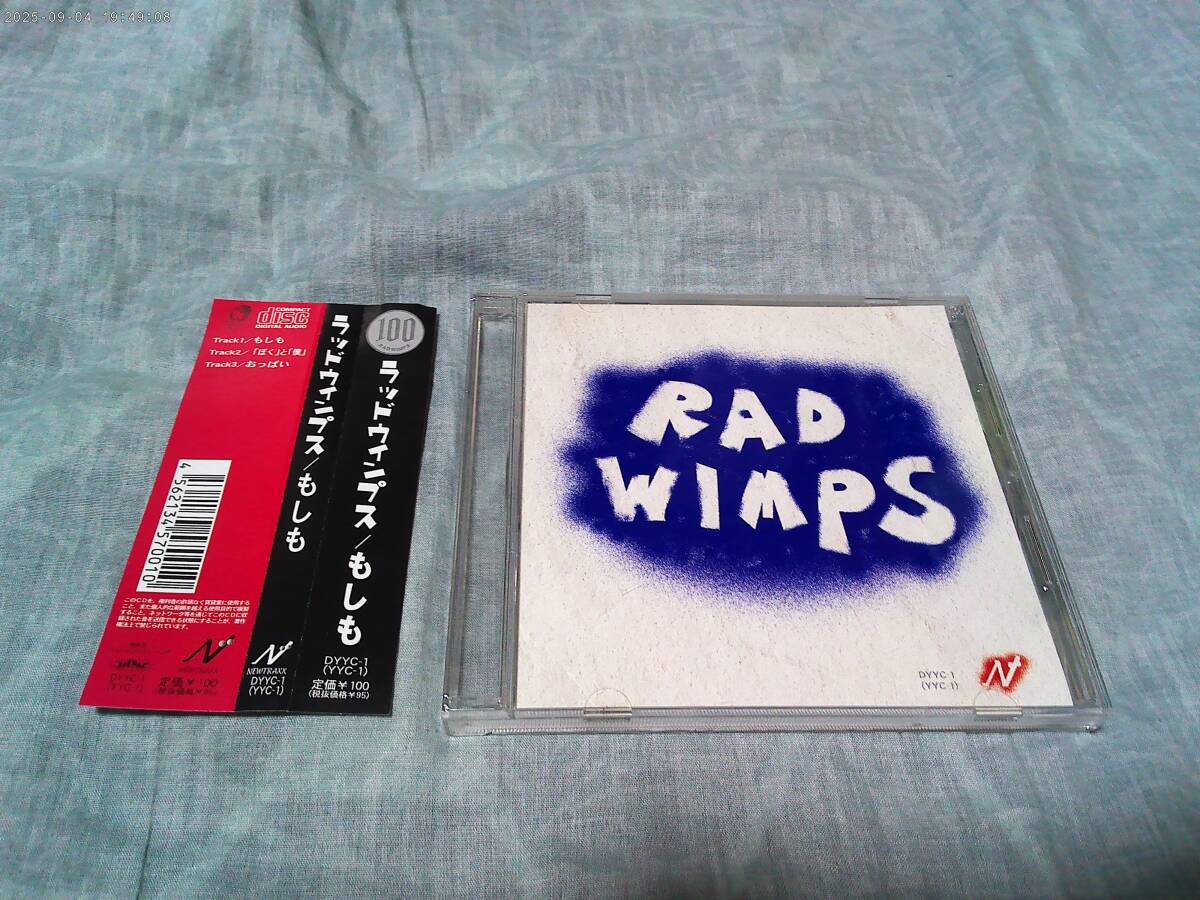 抽プレ】 RADWIMPS 直筆サイン入り ポラロイド 当選品 懸賞品 「 君の