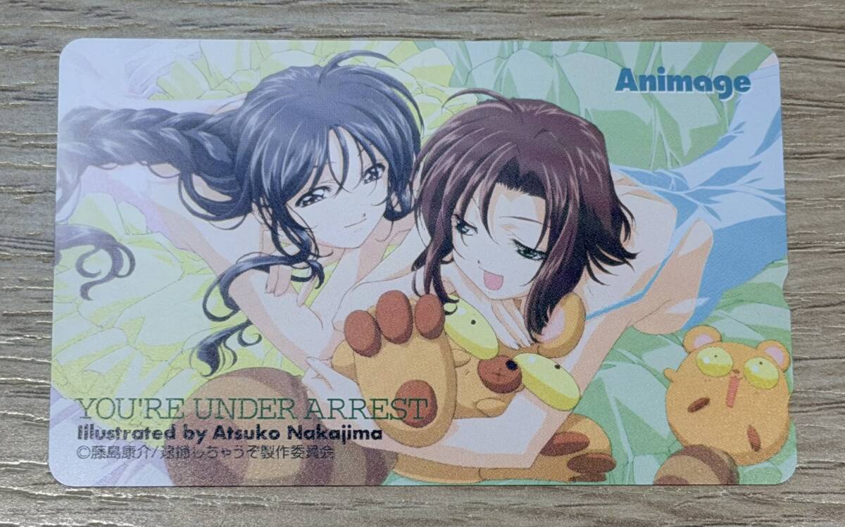 切り抜き6P☆逮捕しちゃうぞ 辻本夏実 小早川美幸 アニメージュ MEGUの