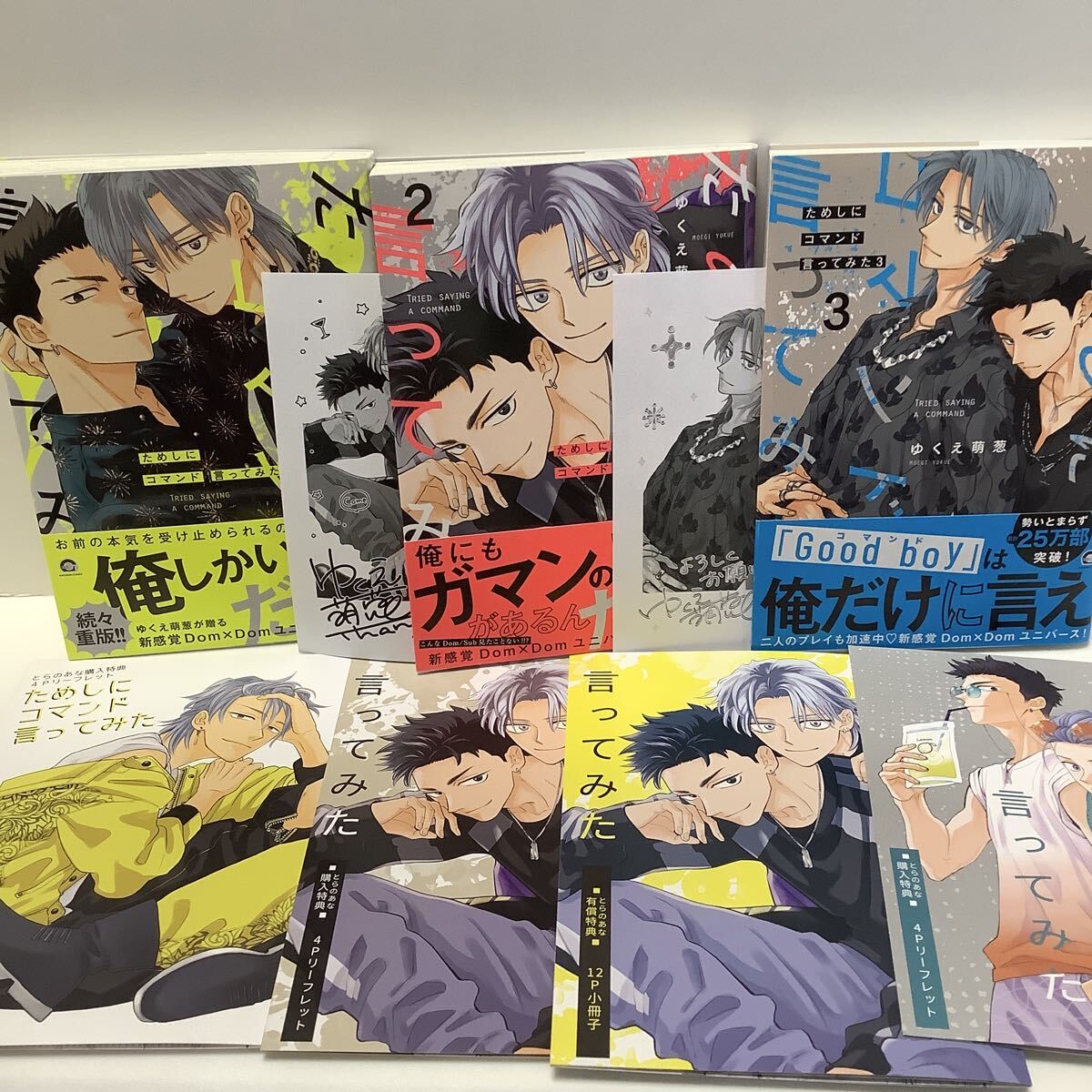 9/10新刊☆白刃と黒牡丹～P2種付☆ゆくえ萌葱～送料無料の落札情報詳細