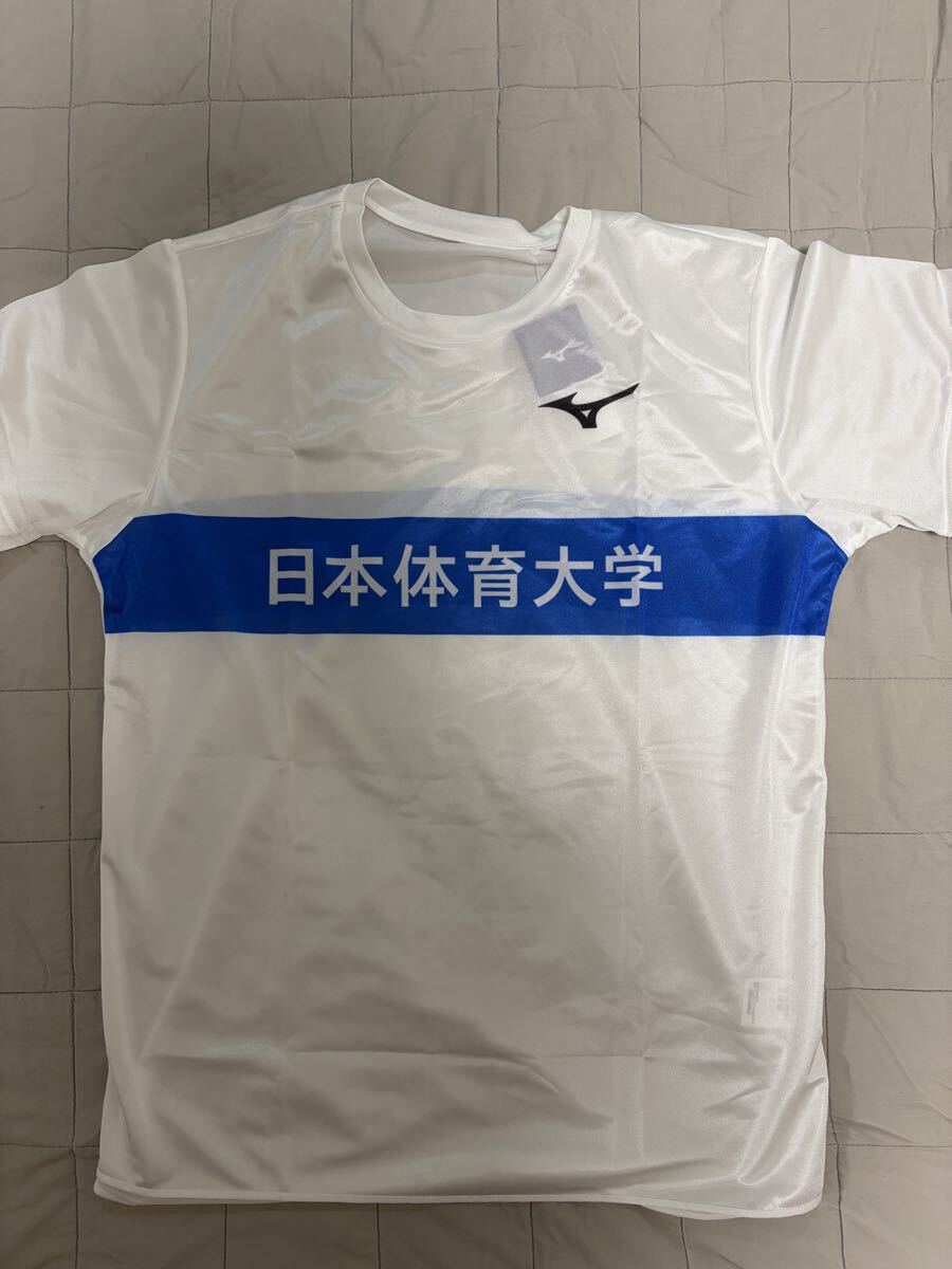 日体大 指定水着 L 競泳水着 Mizuno ミズノ 日本体育大学 NSSU 海洋