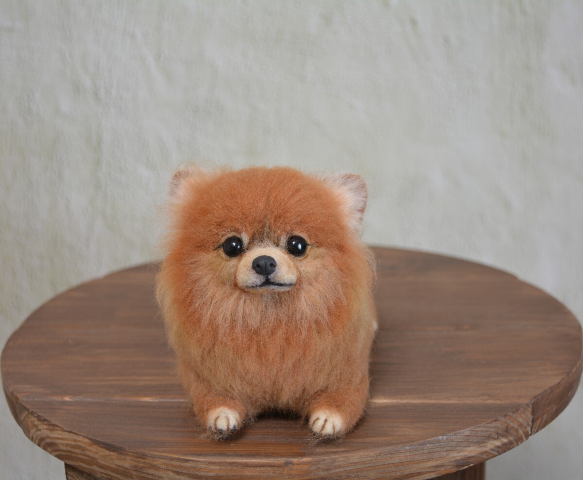 新品】羊毛フェルト ポメラニアン サマーカット ハンドメイド 犬 の