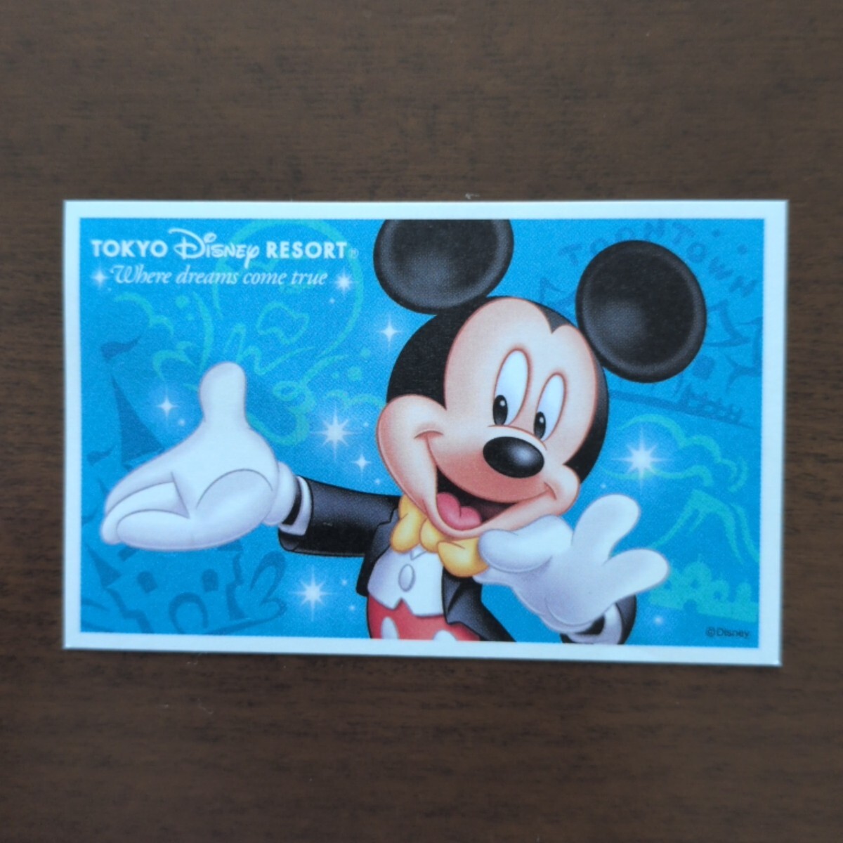 ディズニー TDR イースターワンダーランド 2010 うさぎどん ぬいぐるみ