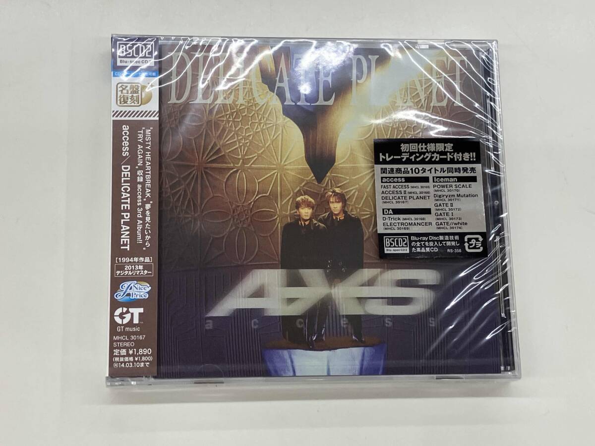 access アクセス 1994年公演コンサートライブツアーパンフレット 浅倉