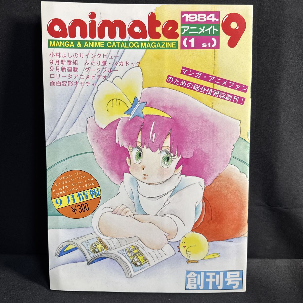 わたなべひろし 直筆サイン2点セット 希少ミンキーモモ作者 わたなべ