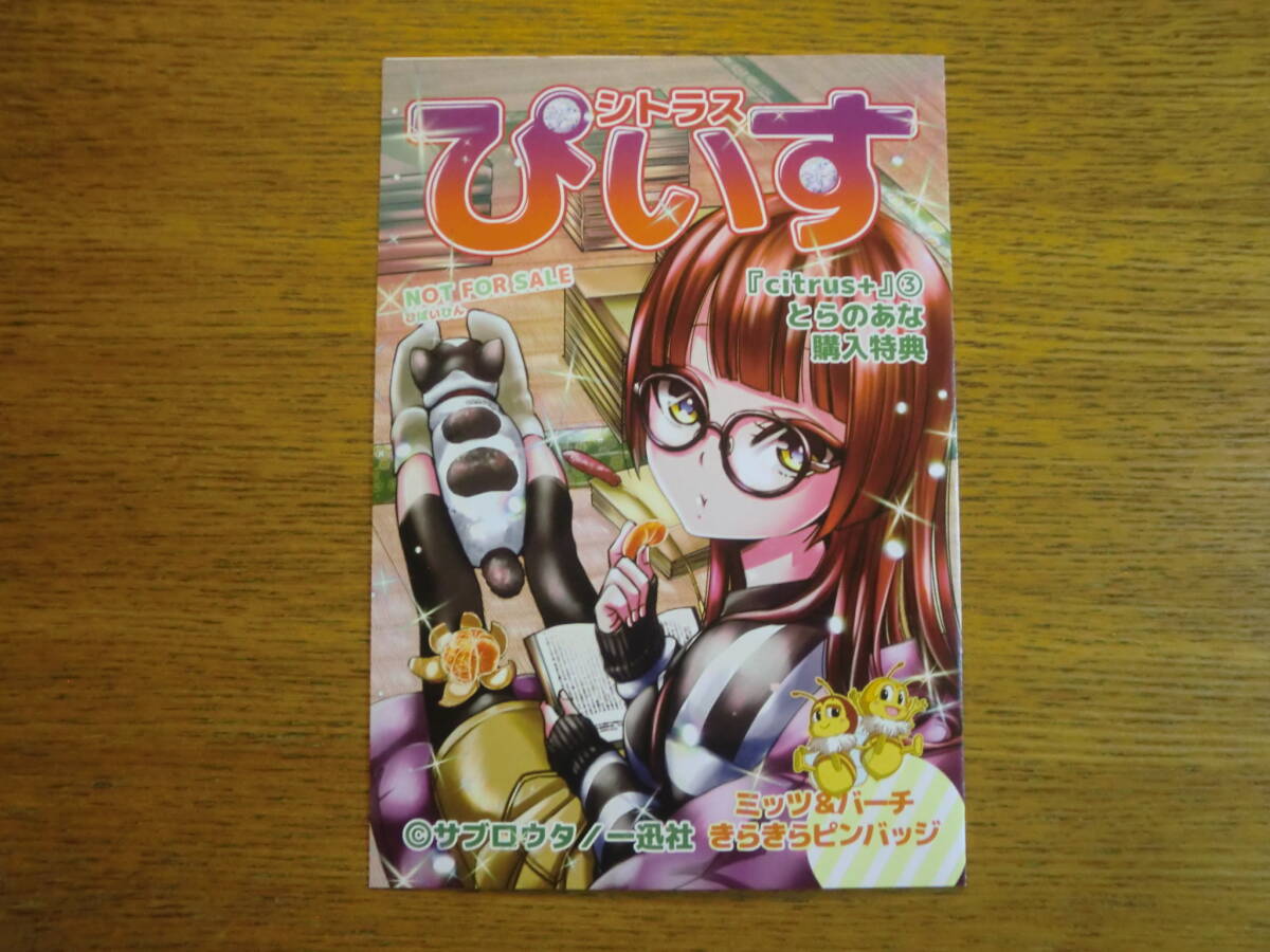 citrus シトラス サブロウタ 描き下ろし 特典 リーフレット 小冊子
