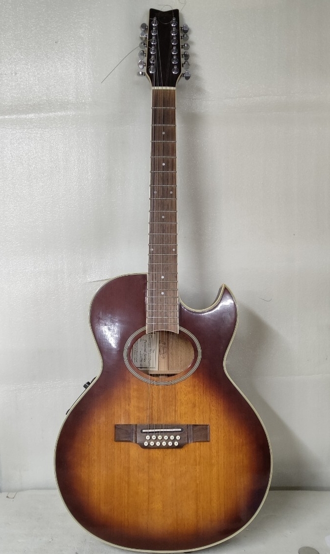 中古】Washburn 12弦エレアコ EA-20M BK ハードケース&おまけつきの