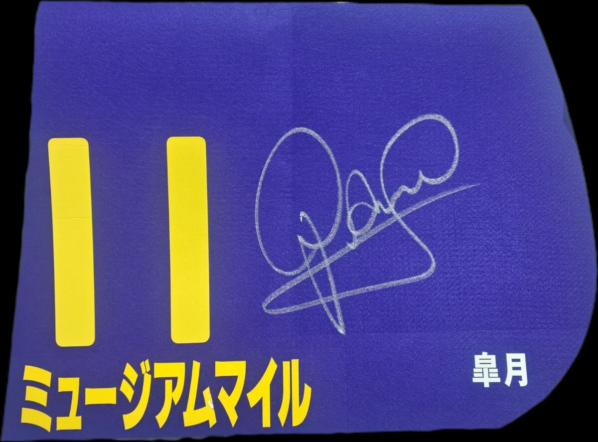 アイドルホース ぬいぐるみ レギュラーサイズ 2015 香港マイル