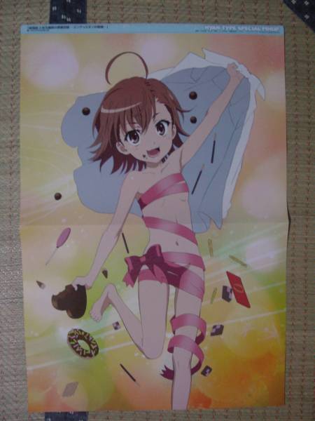 とある魔術の禁書目録(打ち止め ラストオーダー)、STEINS;GATE
