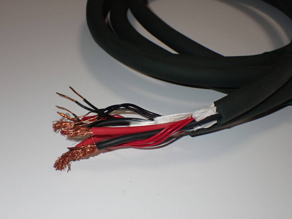 EINSTEIN Greenline vivace superiore アインシュタインスピーカー