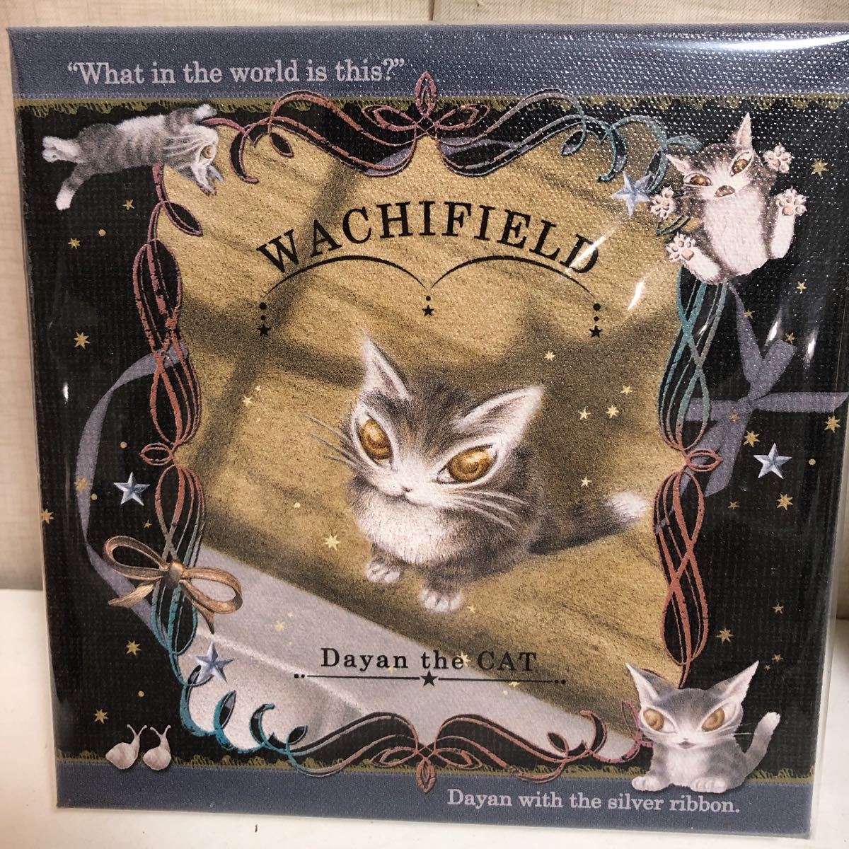 わちふぃーるど　キャンバスライト（SCO）