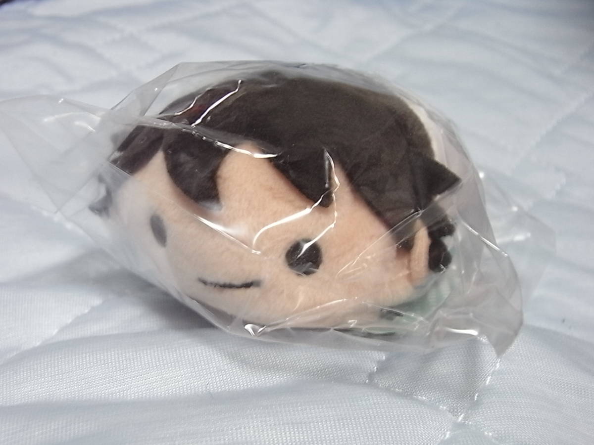 新品】＜新品未開封＞【ハイキュー】のるキャラマスコット ぬいぐるみ 