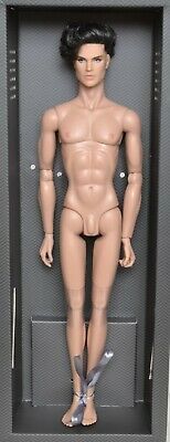 新品】NOAH FARADAY Natural Selection 12 NUDE DOLL Monarchs Homme