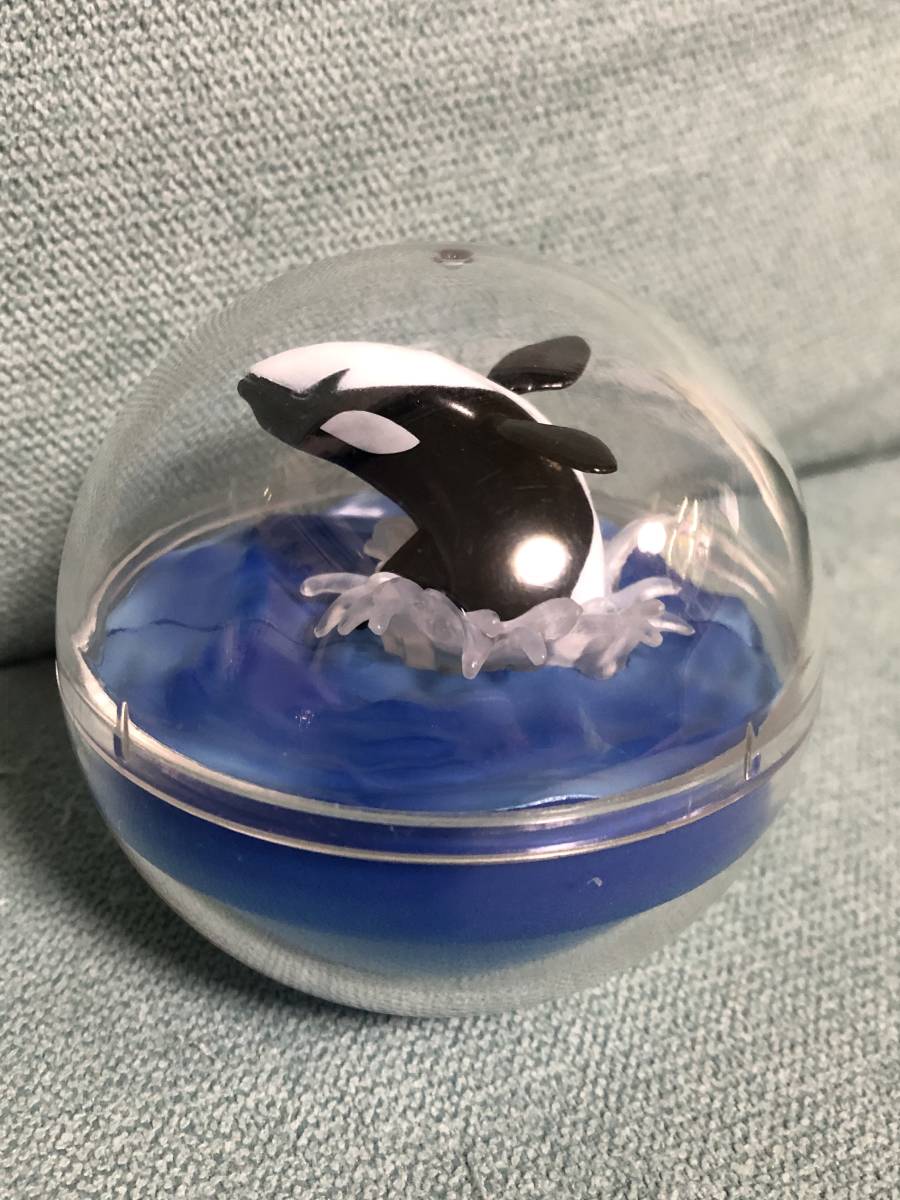 海洋生物 カプリウムコレクション カプリウム シャチ 美品の落札情報