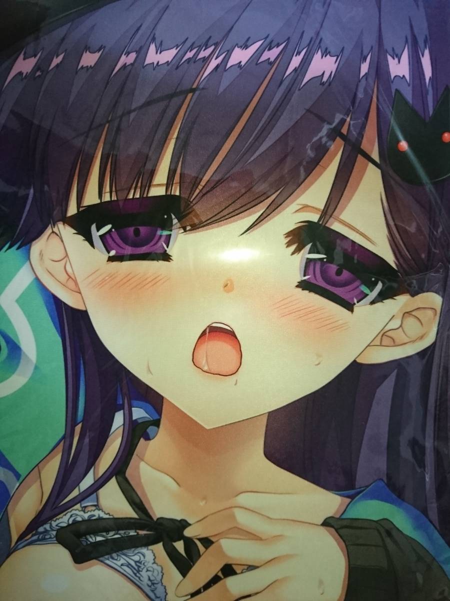 新品 未開封 正規品 氷上葵 抱き枕カバー 魔法少女のウラオモテ 金目鯛ぴんく 神聖昂燐アルカナルージュ の落札情報詳細 ヤフオク落札価格情報 オークフリー スマートフォン版