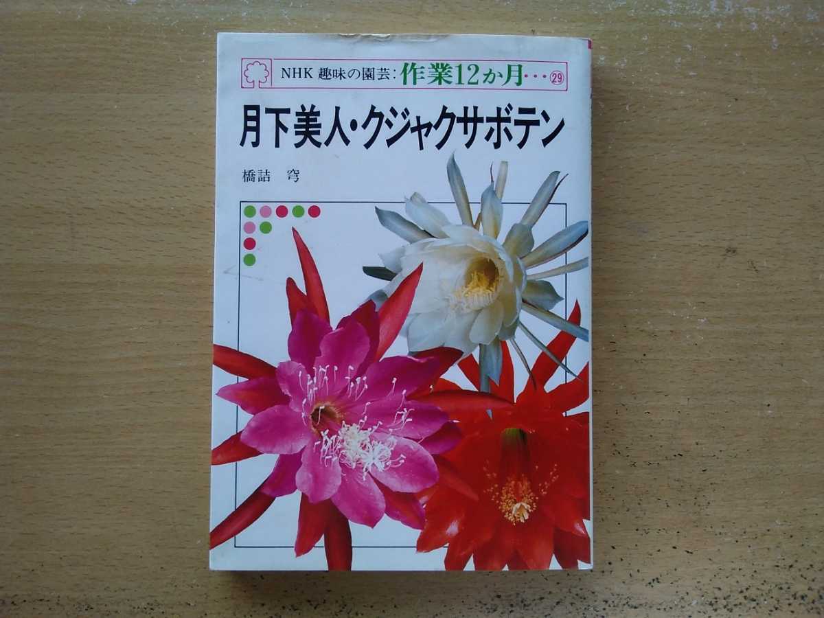 即決 クジャクサボテン ゲッカビジン 月下美人 の栽培 育て方 保存版 苗の管理 開花株の管理と作業 孔雀仙人掌属 の落札情報詳細 ヤフオク落札価格情報 オークフリー スマートフォン版