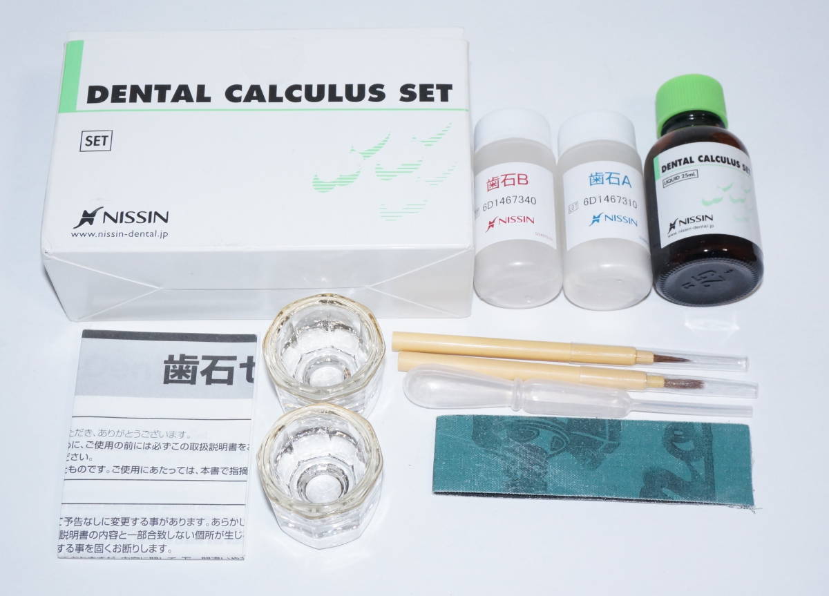NISSIN顎模型（舌、ドライバー付き）&人工歯石セット