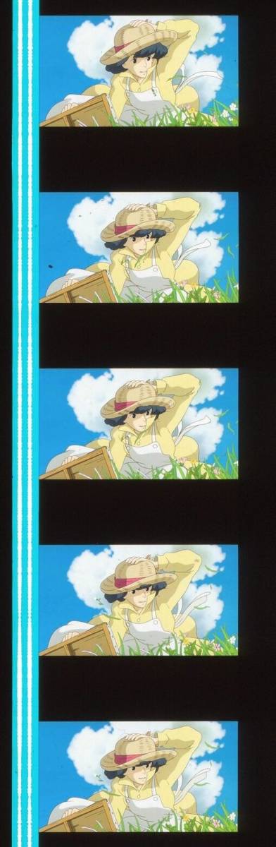 風立ちぬ The Wind Rises 13 宮崎駿 瀧本美織 西島秀俊 庵野秀明 スタジオジブリ ３５mm 映画フィルム 連続５コマ の落札情報詳細 ヤフオク落札価格情報 オークフリー スマートフォン版