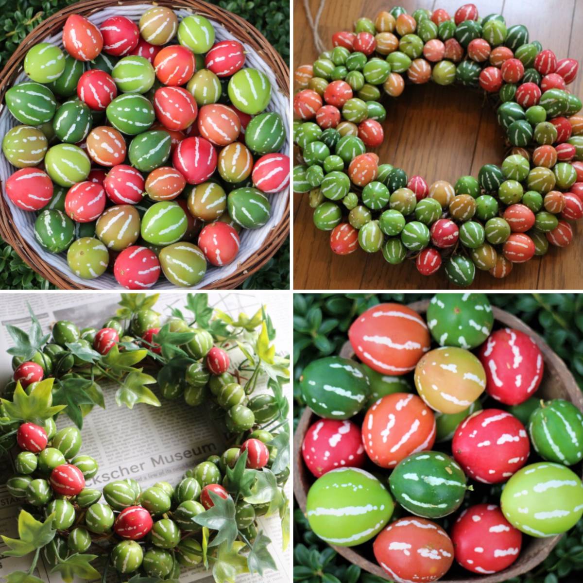 種子 オキナワスズメウリ 種 25粒 育て方説明書付 の落札情報詳細 ヤフオク落札価格情報 オークフリー スマートフォン版