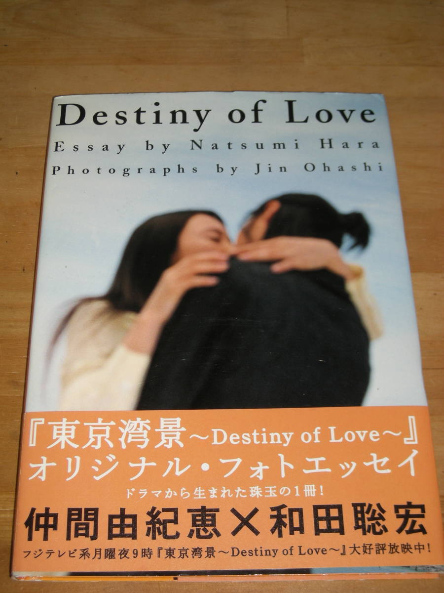 仲間由紀恵×和田聡宏☆「東京湾景～Destiny of Love 