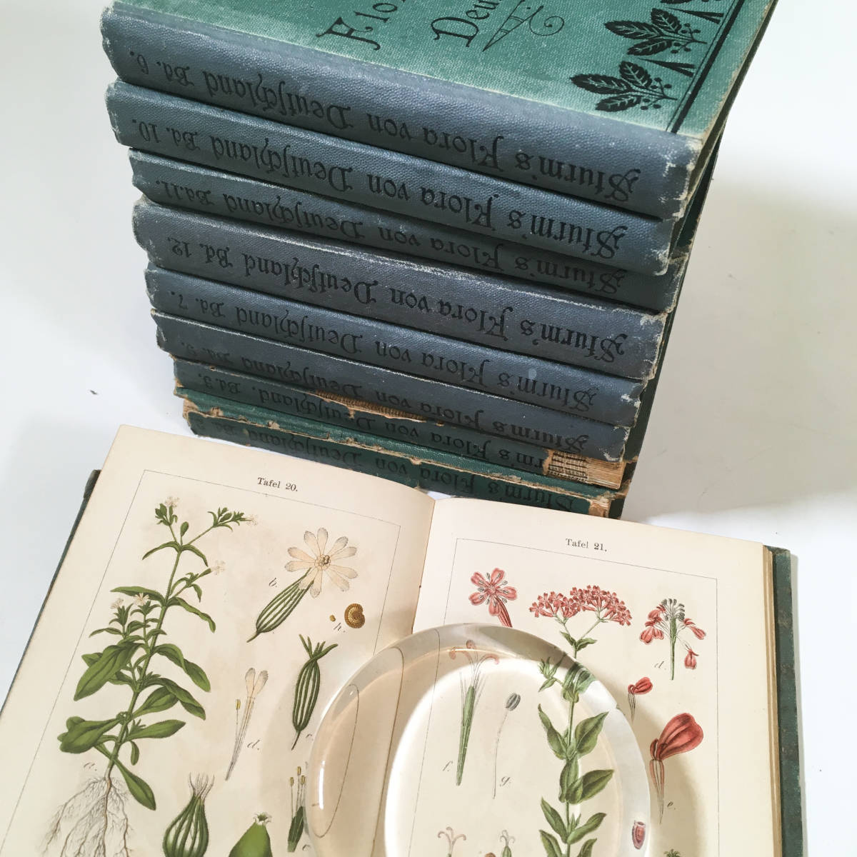 J Sturm 9冊不揃い ドイツ アンティーク 植物図鑑 ボタニカル ビンテージ ヤーコブ シュトルム 植物画 博物画 クロモリトグラフ の落札情報詳細 ヤフオク落札価格情報 オークフリー スマートフォン版