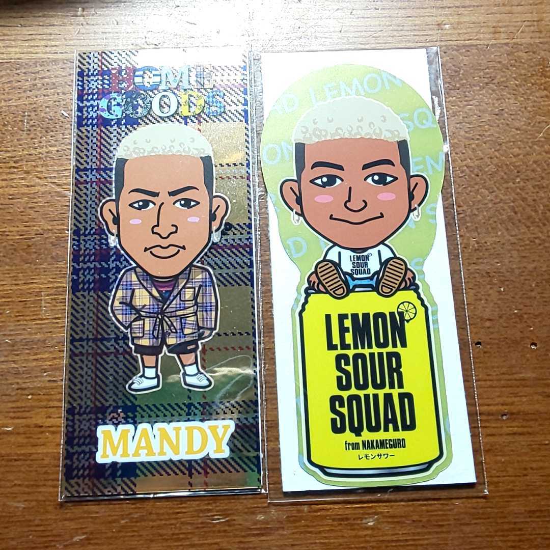 宇宙パワー セイムチャン隕石 希少 Saymchan 最高品質石鉄隕石 幸運