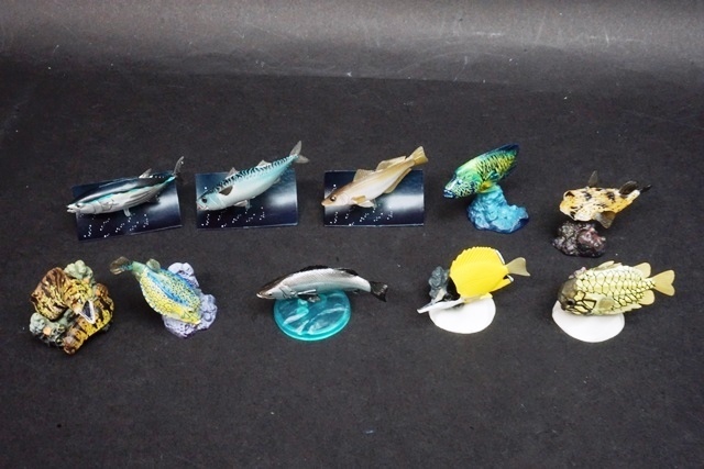 原色海水魚図鑑3種セット 激レア】原色海水魚図鑑2 [ セミコンプ 原色海水魚図鑑3種セット 激レア】原色海水魚図鑑2 [ セミコンプ